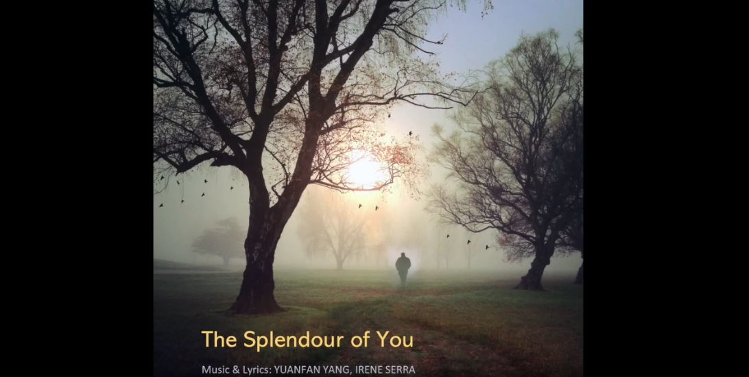 The Splendour of You